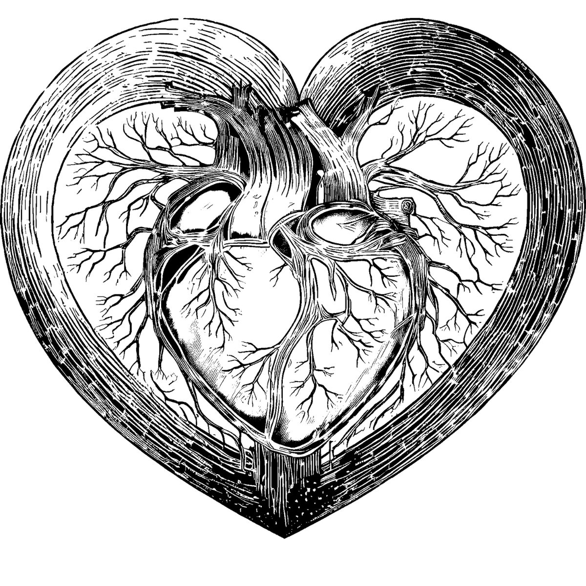 The Chamber of the Heart